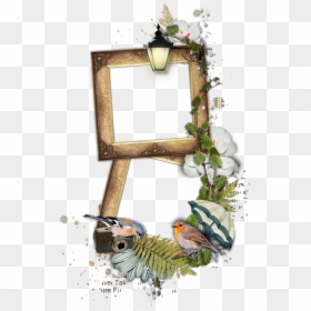 Picture Frame, HD Png Download - book frame png