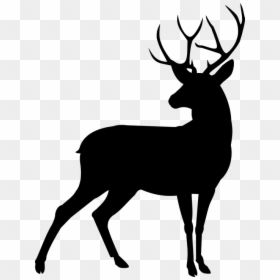 Red Deer Silhouette, HD Png Download - deer tracks png