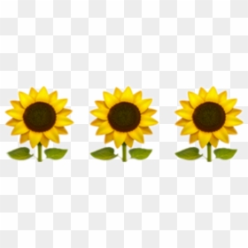Yellow Flower Emoji Png, Transparent Png - sunflower emoji png
