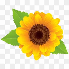Transparent Background Sunflower Clip Art, HD Png Download - sunflower emoji png