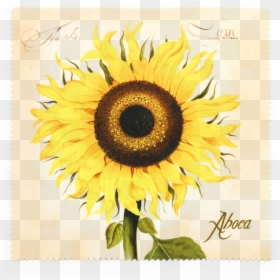 Aboca, HD Png Download - sunflower emoji png