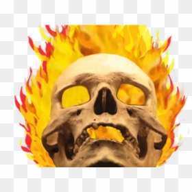 Cartoons Friends In Hell, HD Png Download - flaming skull png