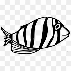 Clip Art, HD Png Download - fish drawing png