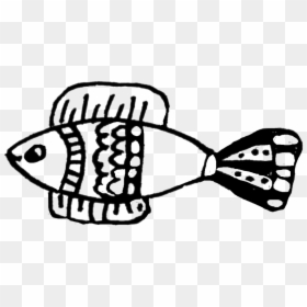 Png วาด ปลา, Transparent Png - fish drawing png