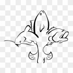 Bass, HD Png Download - fish drawing png