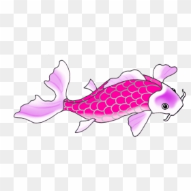 Koi, HD Png Download - fish drawing png