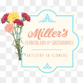 Garden Roses, HD Png Download - side border designs flowers png