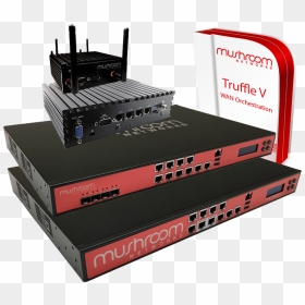 Sd Wan Routers - Mushroom Link Load Balancer Data Sheet, HD Png Download - computer networking images png