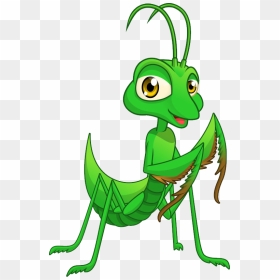 Mantis Png - Praying Mantis Cartoon Png, Transparent Png - praying mantis png