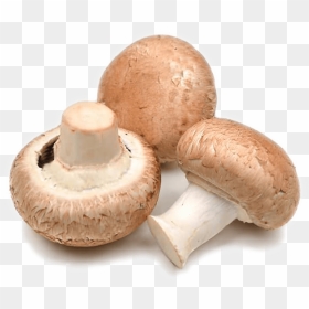 Mushroom, HD Png Download - button mushroom png