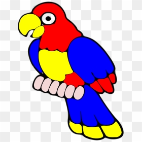 Cockatoo Clipart Blue - ภาพ นก แก้ว การ์ตูน, HD Png Download - parrot clipart png