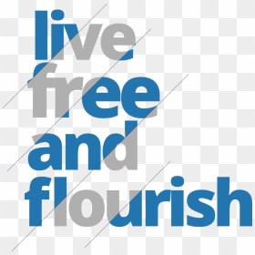 Graphic Design, HD Png Download - donate button png