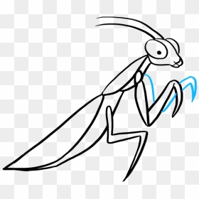How To Draw Praying Mantis - Praying Mantis Drawing Easy, HD Png Download - praying mantis png