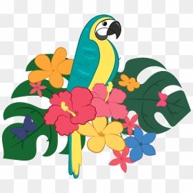 Parrot Clipart - Macaw, HD Png Download - parrot clipart png