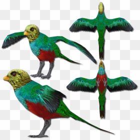 Golden Headed Quetzal V2 - Golden-headed Quetzal, HD Png Download - parrot clipart png