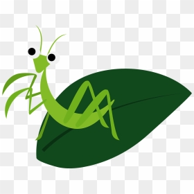 Cartoon, HD Png Download - praying mantis png