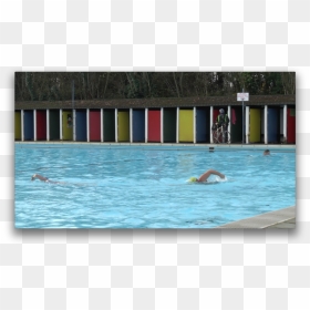 People Swimming In The Pool - Swimming Pool, HD Png Download - pool people png