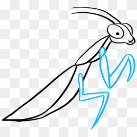 How To Draw Praying Mantis - Praying Mantis Drawing Easy, HD Png Download - praying mantis png