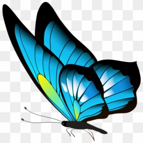 Cute Baby Butterfly Drawing, HD Png Download - borboletas png