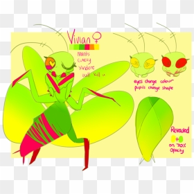Insect Clipart Pray Mantis - Praying Mantis Dancing Clipart, HD Png Download - praying mantis png