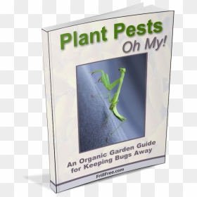 Plant Pests Handbook - Mantidae, HD Png Download - praying mantis png