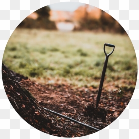 Grass , Png Download, Transparent Png - planting png
