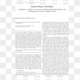 Text Page - Holy Land - The Necropolis, HD Png Download - praying mantis png