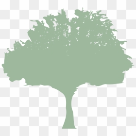 Hedge Cutting, Hd Png Download - Organization, Transparent Png - img_tree.png
