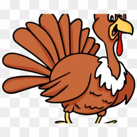 Mad Turkey Clipart Png Black And White Download Cartoon - Turkey ...