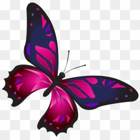 Borboletas Coloridas , Png Download - Photoshop Free Transform, Transparent Png - borboletas png