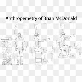 Poster Titled Anthropometry Of Brian Mcdonald, Showing - Drawing, HD Png Download - chair front view png