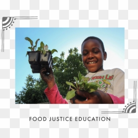 Food Justice Graphic, HD Png Download - planting png