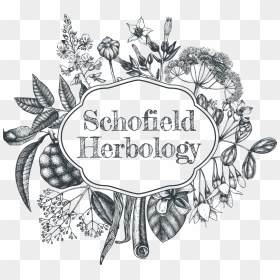 Wreath .png, Transparent Png - wreath .png