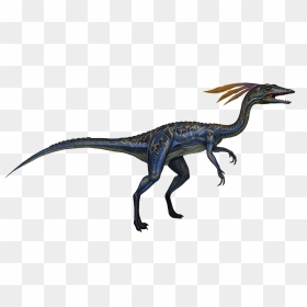 Compsognathus Ark, HD Png Download - survival png