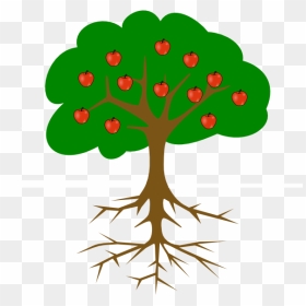 Fruit Tree And Roots Without Line Clip Art At Clker - Tree Drawing With Fruits, HD Png Download - img_tree.png