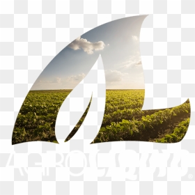 Fertilizer Png, Transparent Png - planting png