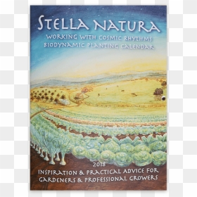 Stella Natura 2018 - Poster, HD Png Download - planting png
