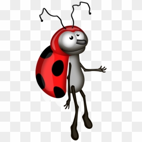 Drawing Ladybug Quick And Easy - Ladybird Beetle, HD Png Download - borboletas png