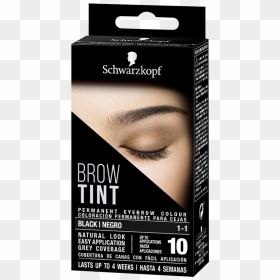 Brow Tint Schwarzkopf, HD Png Download - cejas png