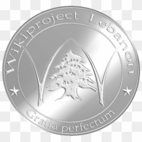 Wikiproject Lebanon Silver Medal - Silver, HD Png Download - perfect png