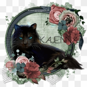 Black Cat , Png Download - Black Cat, Transparent Png - black mage png