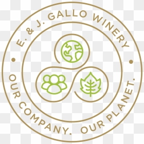 Circle, HD Png Download - gallo png