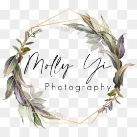 Molly Yi Photography - الحمدلله الذي وهبني روحا من روحي, HD Png Download - molly png