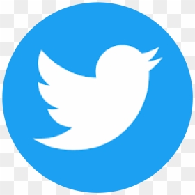 2019 Pro Exp Media Inc - Circle Twitter Logo Png, Transparent Png - walgreens png