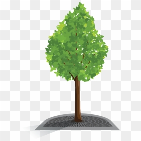 Plastic Tree Png, Transparent Png - grate png