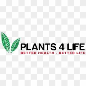 4life Logo Png , Png Download - Office Assistant, Transparent Png - 4life logo png