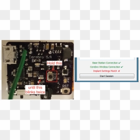 / Images/hold - Electronics, HD Png Download - cerebro png
