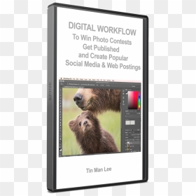 Digital Workflow To Win Photo Contests, Get Published, - Punxsutawney Phil, HD Png Download - tin man png