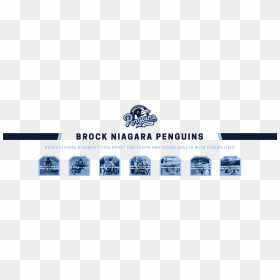 Brock Niagara Penguins - Dolphin, HD Png Download - brock png
