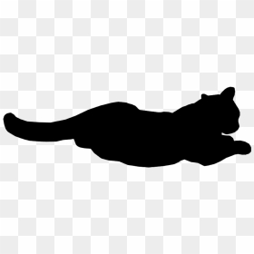 Black Cat Gif Png Clipart , Png Download - Cat Black Gif Png, Transparent Png - cat gif png